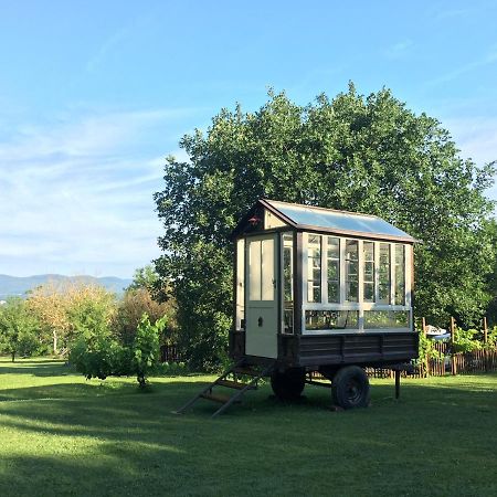 Agriturismo Poggio Salvi Sovicille Kültér fotó